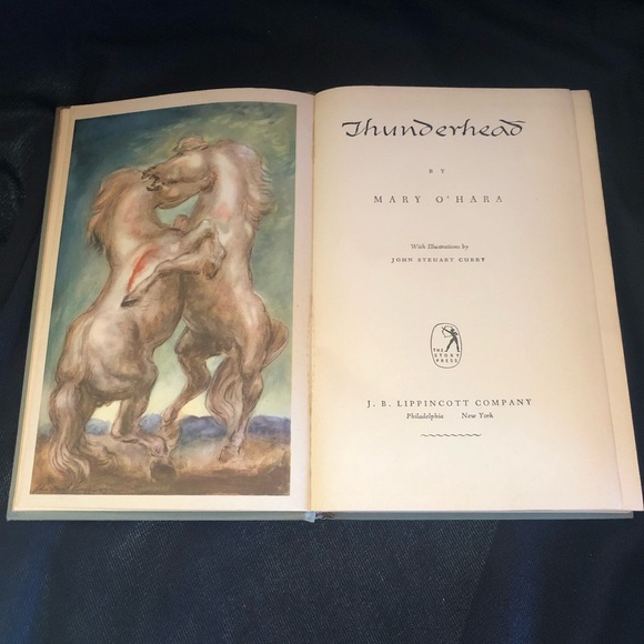 Vintage Hardcover Thunderhead by Mary O’Hara 1943 - Classic Horse Novel - Picture 4 of 11